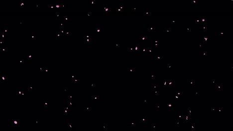 Animierte-Kirschblüten-Overlay.-1080p-–-30-Fps-–-Alphakanal-(1)